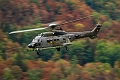 25_Meiringen_Eurocopter TH89 Cougar